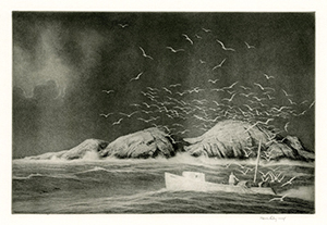 Fisherman, Boat, Seacoast, Storm, Maine, Sea Gulls